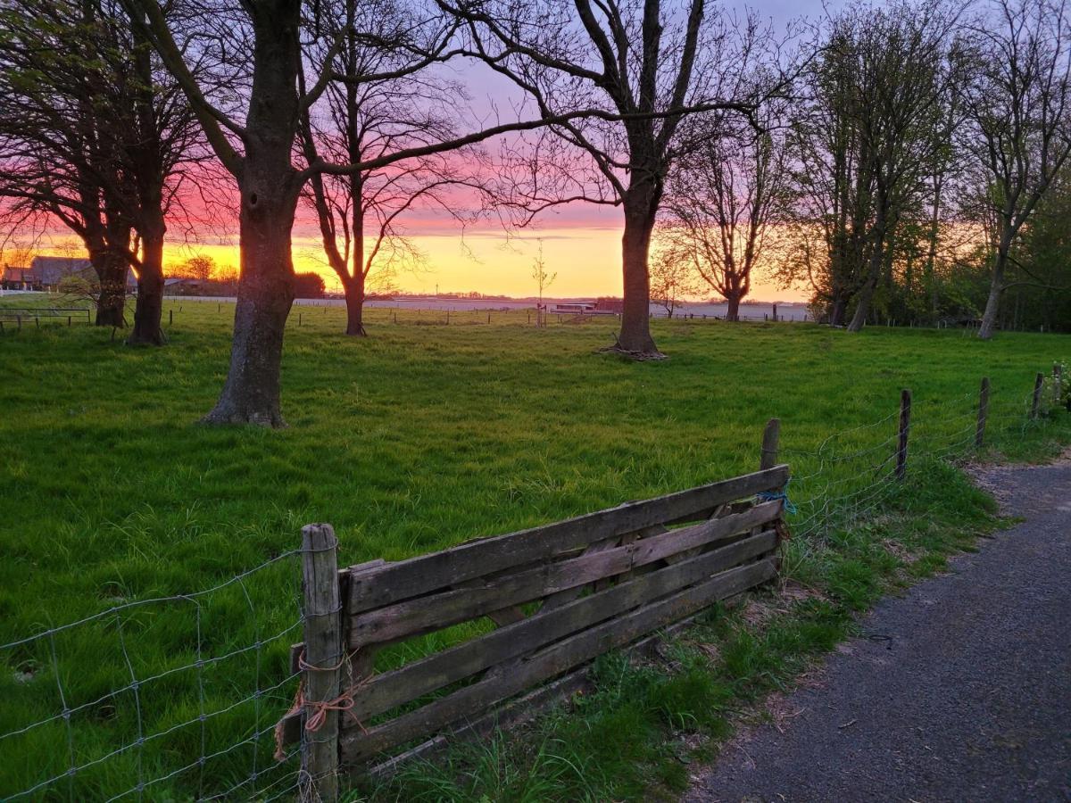 Vakantiehuis Aan Het Bos - Gelegen Aan De Tulpenroute Bant エクステリア 写真
