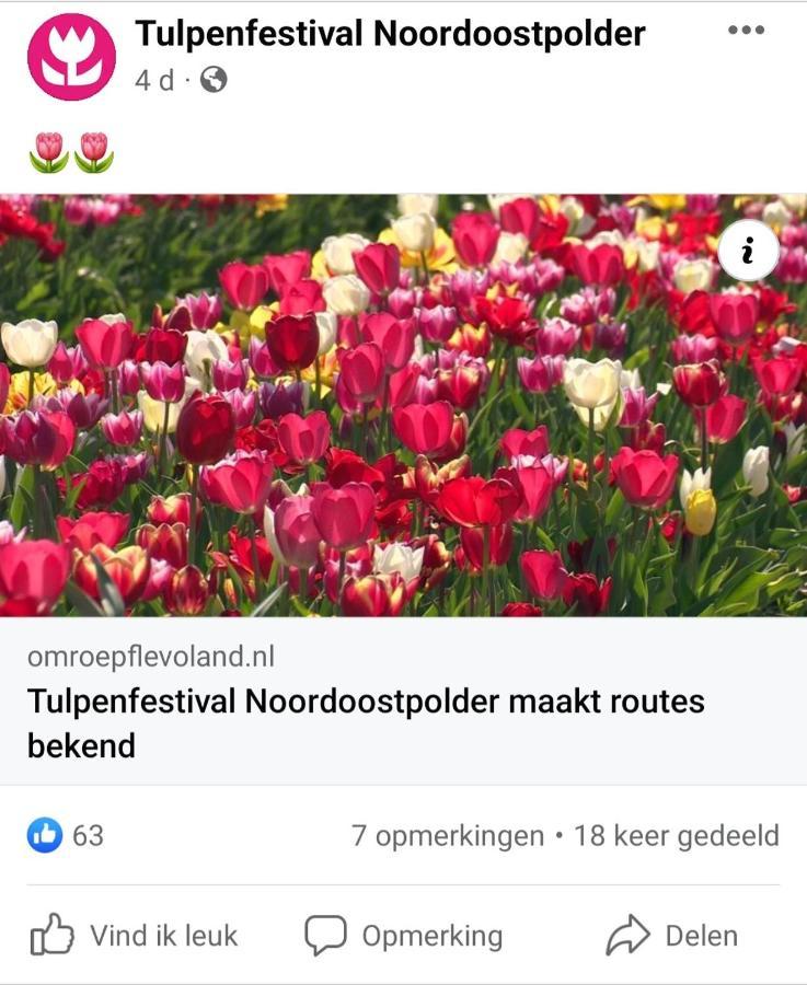 Vakantiehuis Aan Het Bos - Gelegen Aan De Tulpenroute Bant エクステリア 写真
